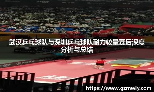 武汉乒乓球队与深圳乒乓球队耐力较量赛后深度分析与总结