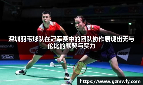 深圳羽毛球队在冠军赛中的团队协作展现出无与伦比的默契与实力