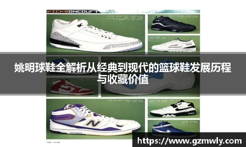 姚明球鞋全解析从经典到现代的篮球鞋发展历程与收藏价值