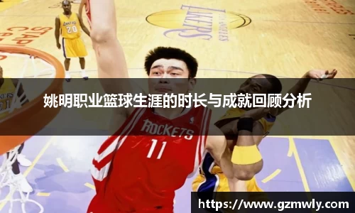 姚明职业篮球生涯的时长与成就回顾分析